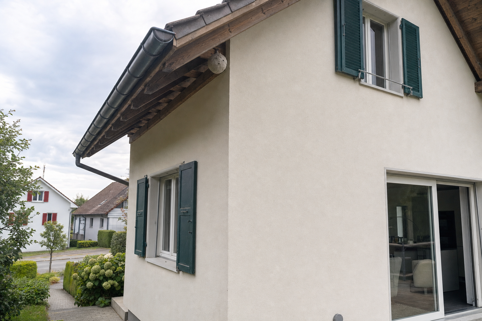 Wespennest-Entfernung in Baden — Fachbetrieb vor Ort