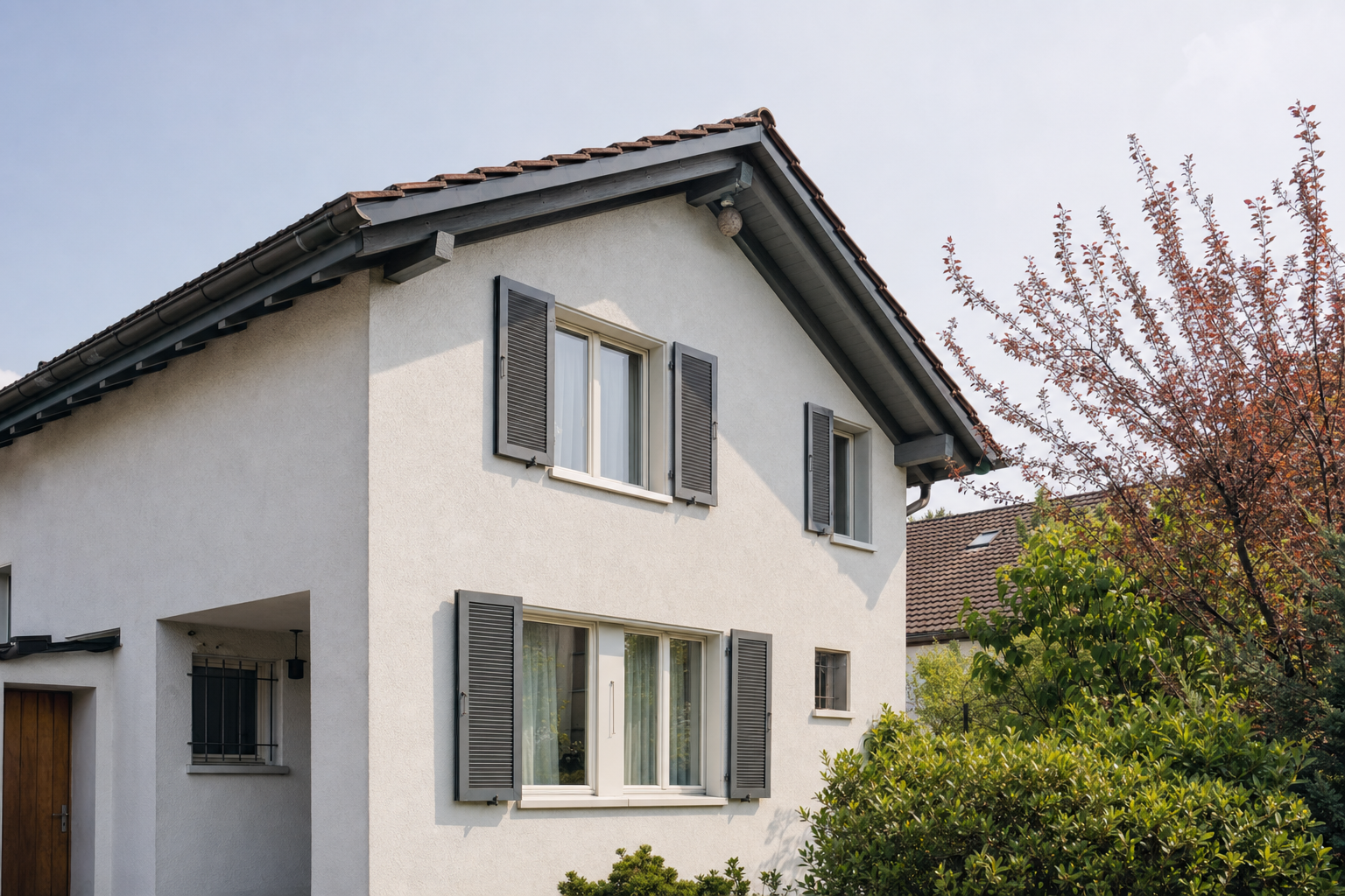 Wespennest-Entfernung in Dietikon — Fachbetrieb vor Ort