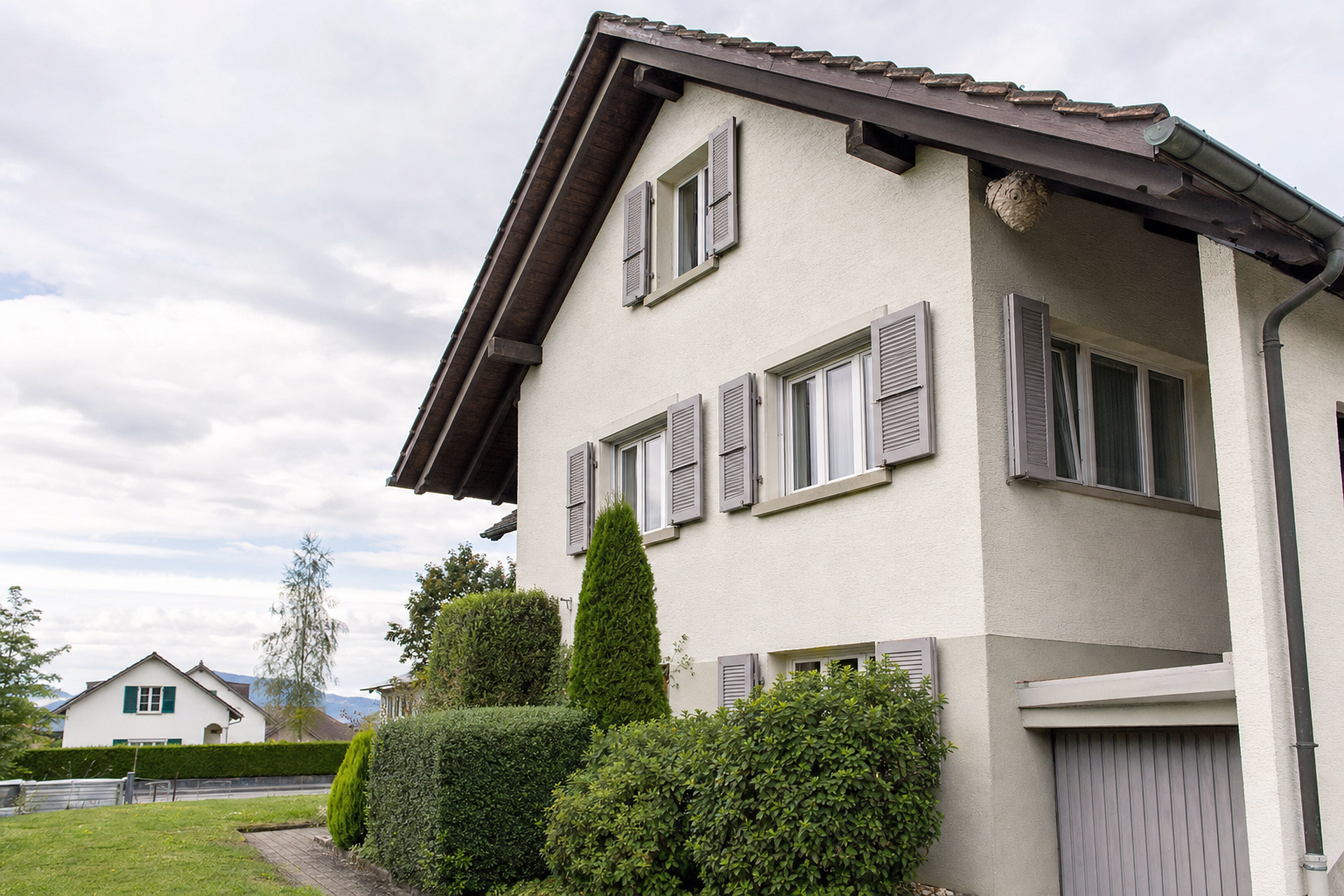 Wespennest-Entfernung in Kriens — Fachbetrieb vor Ort