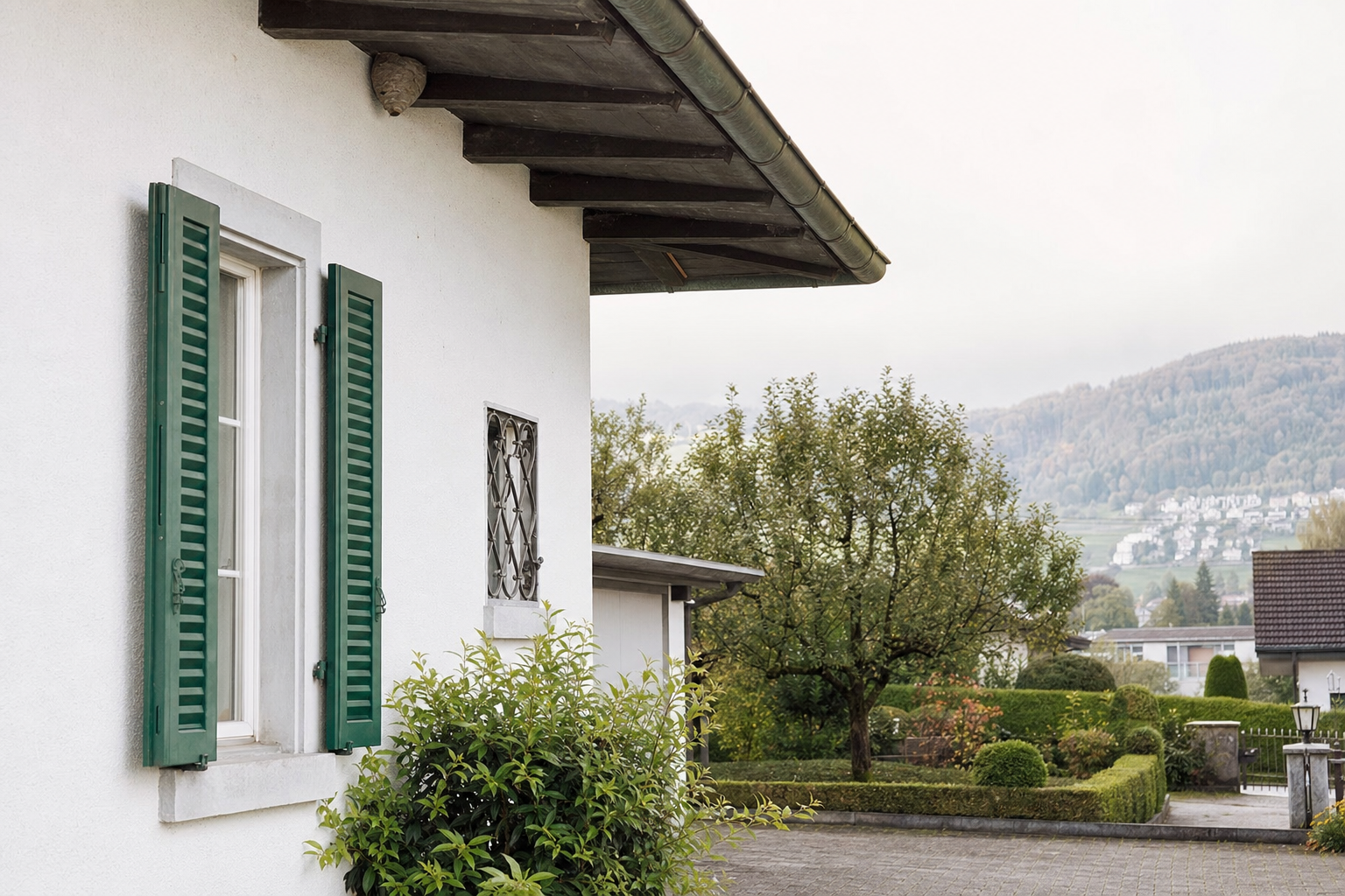 Wespennest-Entfernung in Luzern — Fachbetrieb vor Ort