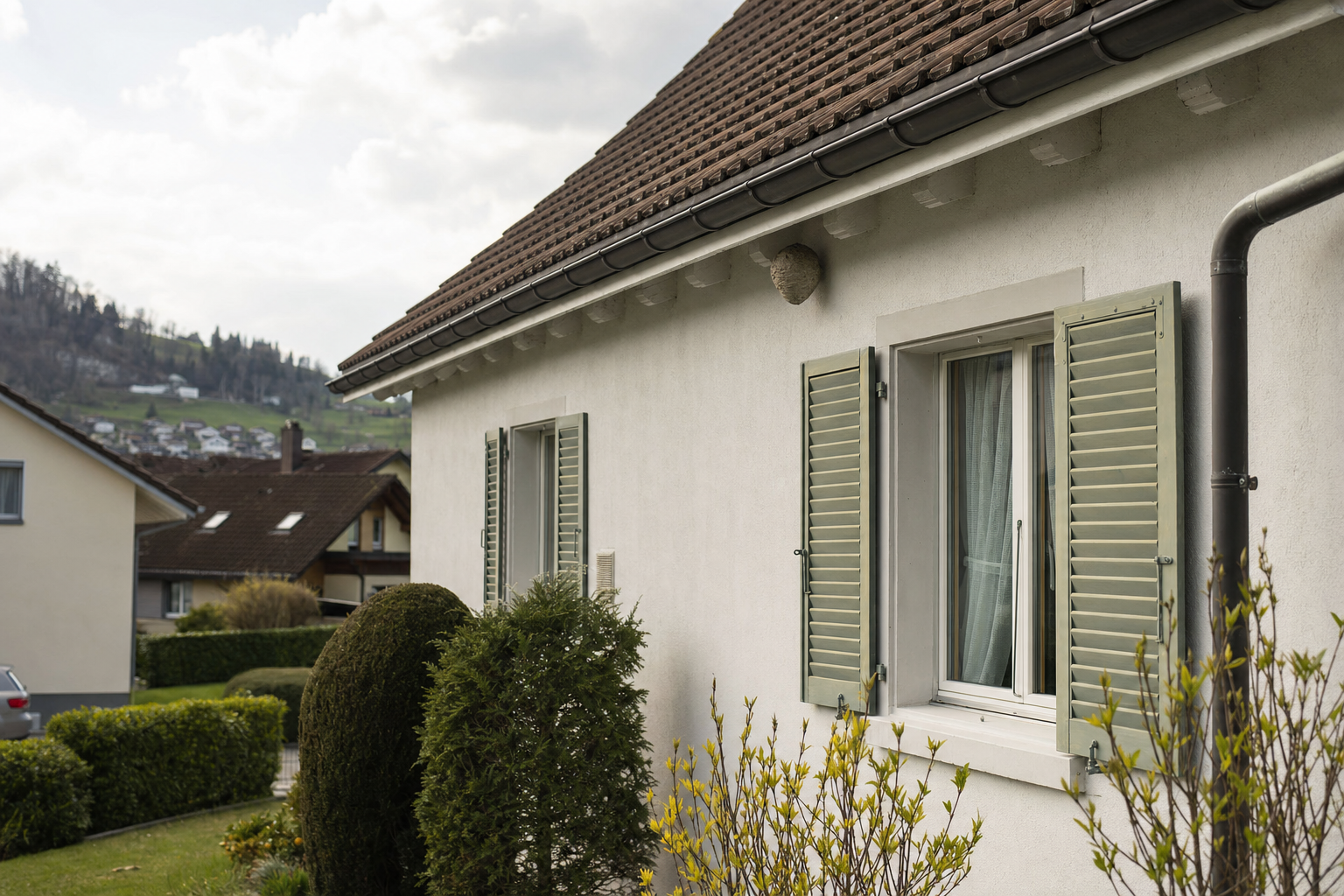 Erdwespen-Bekämpfung in Oberägeri — Fachbetrieb vor Ort