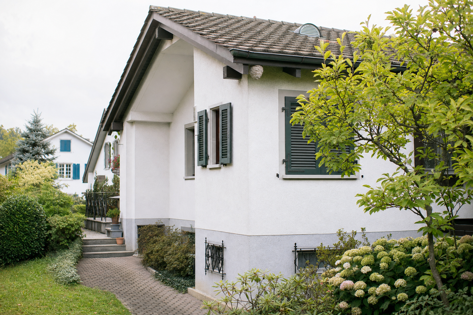 Erdwespen-Bekämpfung in Thalwil — Fachbetrieb vor Ort