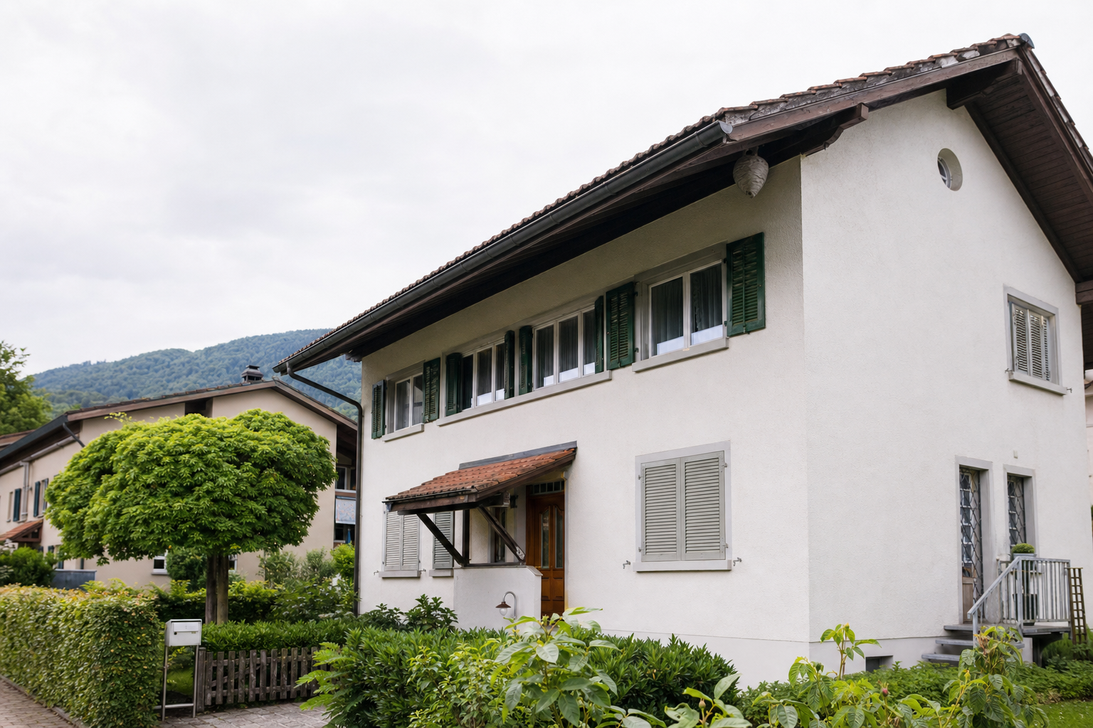Wespennest-Entfernung in Wettingen — Fachbetrieb vor Ort