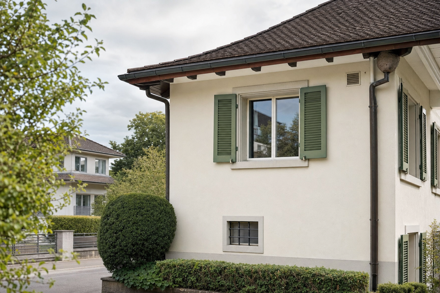 Wespennest-Entfernung in Zürich — Fachbetrieb vor Ort