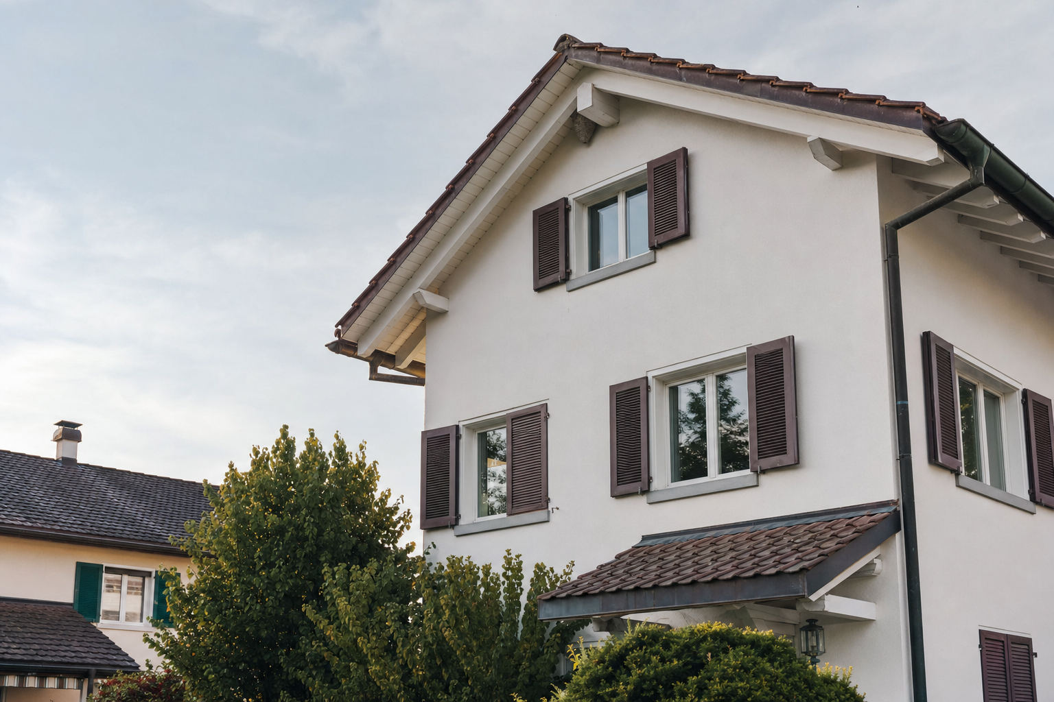 Wespennest-Entfernung in Zug — Fachbetrieb vor Ort